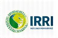 IRRI Partnership for Rice Innovation